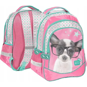 Školní batoh Vícekomorový Školní batoh Paso růžový 22 l