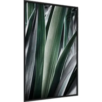 Obraz Plakát v Rámu LISTY Květiny Zahrada Příroda 30x40