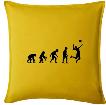Polštář Evoluce volejbal culík - Polštář 50x50 - 50x50 - Pouze potah ( Žlutá )