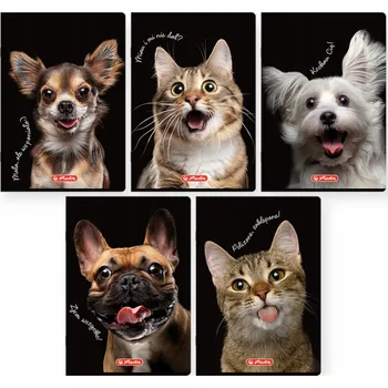 Sešit Zápisník A6 s mřížkou Herlitz, 32 listů