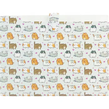 Pořadač A4 harmonika PP 5 přihrádek KOČKY Biurfol