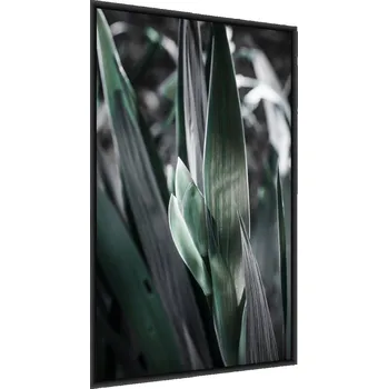 Obraz Plakát na zeď Tmavě zelené Dlouhé LISTY 50x70