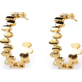 Náušnice Náušnice z nerezové oceli kruhy, barva 2 zlatá