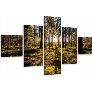 Obraz Vícedílný obraz LES Stromy Krajina 3D 200x120