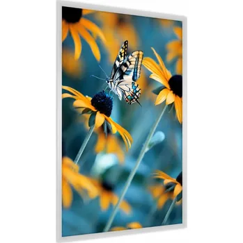 Obraz Plakát v Rámu MOTÝL Květiny Rostliny Příroda 60x80