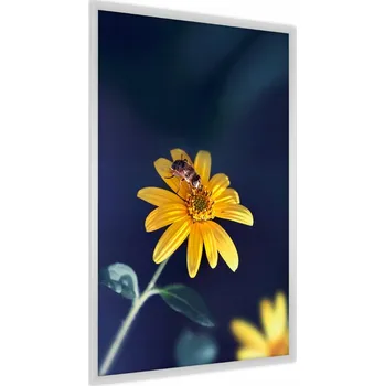 Obraz Plakát v Rámu Včela Žlutý KVĚT Příroda 50x70