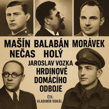 Hrdinové domácího odboje - Jaroslav Vozka - audiokniha