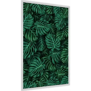 Obraz Plakát na zeď Listy MONSTERY Příroda Dekorace 50x70