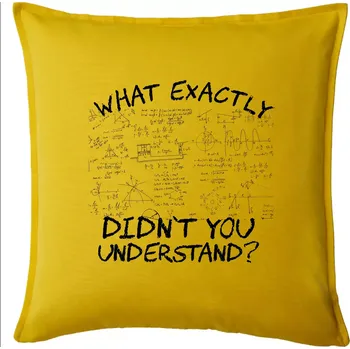 Polštář What exactly didnt you understand - physics - Polštář 50x50 - 50x50 - Pouze potah ( Žlutá )