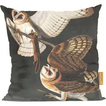 Polštář Polštář Puštík bělavý, Tyto Alba James Audubon Umění