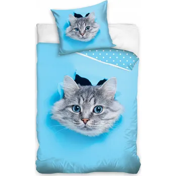 Povlečení Sada povlečení Carbotex 160 x 200 cm modrá