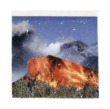 Zahraniční hudba CD WU LYF: Go Tell Fire To The Mountain 2011