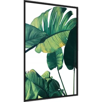 Obraz Plakát LISTY Ďáblova břečťanu Dekorace 60x80