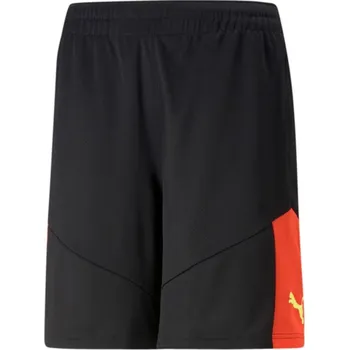 Pánské kraťasy Šortky Puma individualFINAL Training Shorts 65804248 Velikost M
