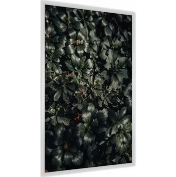 Obraz Plakát v Rámu Zelené LISTY Příroda 3D 50x70