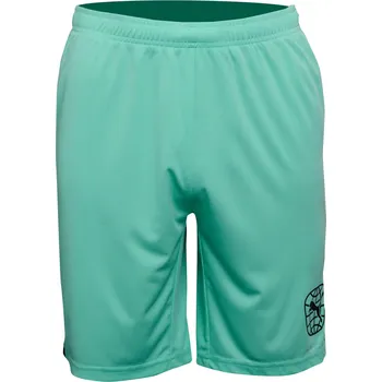 Pánské kraťasy Šortky Puma RE Fibre Short 705892-007-001 Velikost L