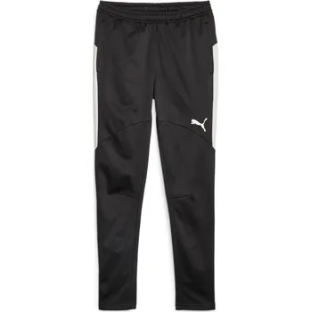 Pánské kalhoty Kalhoty Puma Individual Winterized Men's Football Pants 658511-03 Velikost S
