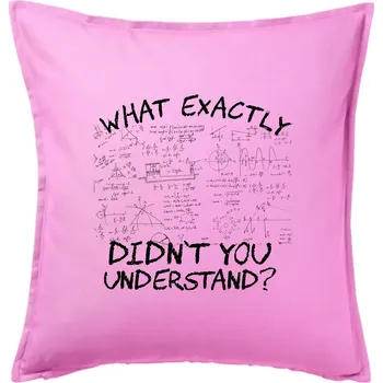 Polštář What exactly didnt you understand - physics - Polštář 50x50 - 50x50 - Pouze potah ( Růžová )