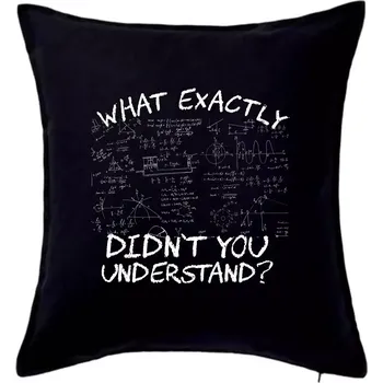Polštář What exactly didnt you understand - physics - Polštář 50x50 - 50x50 - Pouze potah ( Černá )