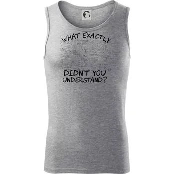 What exactly didnt you understand - physics - Tílko pánské Core - 2XL ( Tmavě šedý melír )