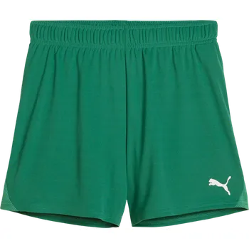 Dámské kraťasy Šortky Puma teamGOAL Handball Shorts W 706019-05 Velikost XL