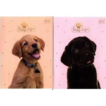 Psací sada s poznámkovým blokem Interdruk