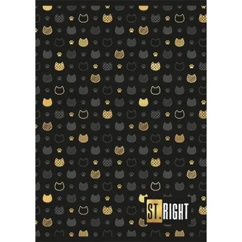 Sešit Sešit A5 linkovaný St.Right 32 listů