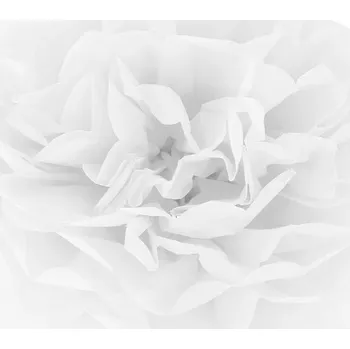 Obraz Bambule papírový Party Deco bílý 35 cm