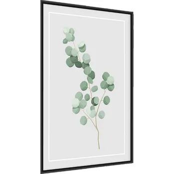 Obraz Plakát na zeď Malované LISTY Eukalyptu 30x40