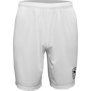 Pánské kraťasy Šortky Puma RE Fibre Short 705892-004-001 Velikost L