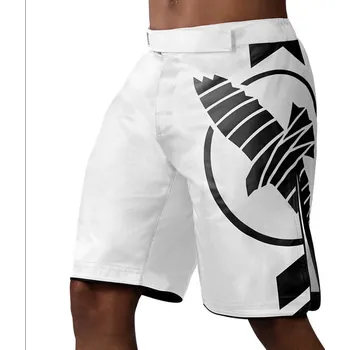 MMA Šortky Hayabusa Icon - bílé - HB_ICON_WHT Velikosti: L