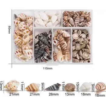 Dekorační mořské ulity MIX /cca 100ks/