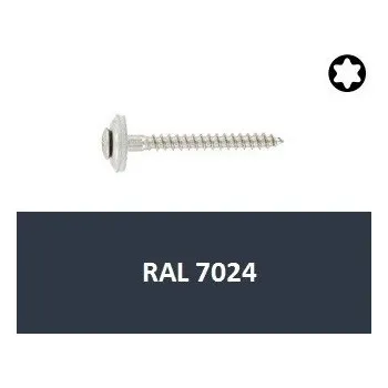 Vrut Vrut s podl. 15mm, nerez A2 4,5x35 Torx RAL7024 (Art.8790) 10ks