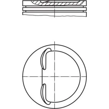Píst motoru Píst MAHLE 008 76 01