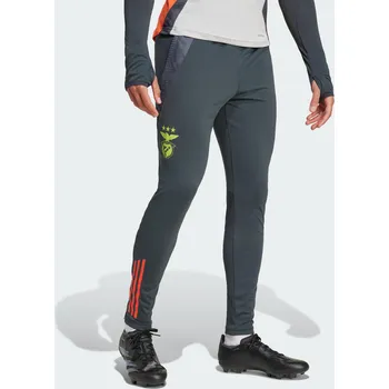 ADIDAS Tréninkové kalhoty Benfica Tiro 24 Competition S ČERVENÁ|ŠEDÁ