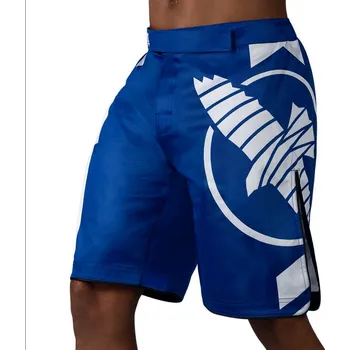 MMA Šortky Hayabusa Icon - modré - HB_ICON_BLUE Velikosti: XXL