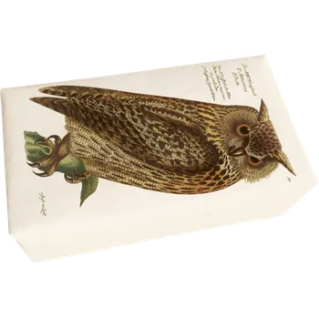 Mýdlo Dárkové mýdlo Forest Animals Owl 200 g