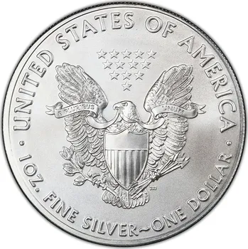 United States Mint American Eagle stříbrná mince 1oz 2019