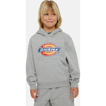 Pánská mikina Dickies YOUTH LOGO HOODIE H2 Velikost: S
