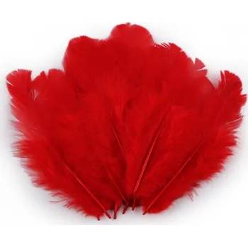 Slepičí peří délka 8-9 cm, malé, 4 červená