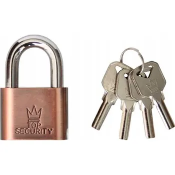 Visací zámek Visací zámek na klíč RICHMANN