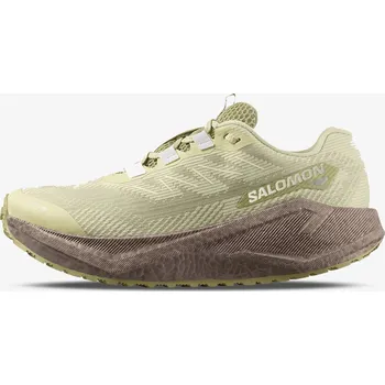 Dámská obuv Dámské tenisky SALOMON AERO BLAZE 3 GRVL GTX EUR 41 1/3 1418139