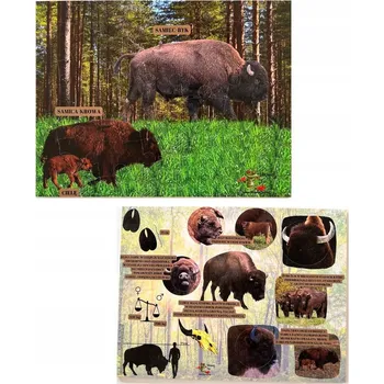 Dřevěná hračka Svět zubra, dřevěné puzzle, lesní vzdělávání, zajímavosti o zubrech