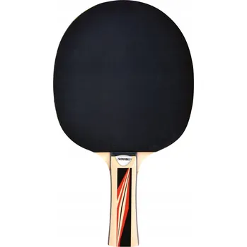 Pingpongová pálka Pálka na stolní tenis PING PONG pro pokročilé, tréninková - DONIC