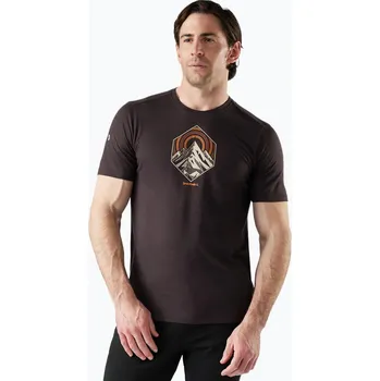 Oblečení a móda Pánské trekkingové tričko Smartwool Peak Energy Active Graphic mink heather