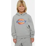 Dickies YOUTH LOGO HOODIE H2 Velikost: L
