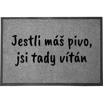 Rohožka Hotová rohožka z plastu, PVC 60 x 40 cm