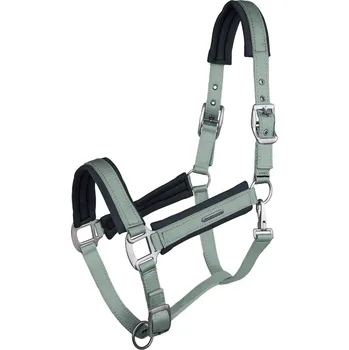 Vybavení pro koně WALDHAUSEN Ohlávka Soft Touch Waldhausen, silver blue PONY