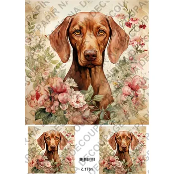 Výtvarný papír Rýžový a soft papír na decoupage - Pes Vizsla - KB01781 Materiál: Rýžový papír, Rozměr: A4