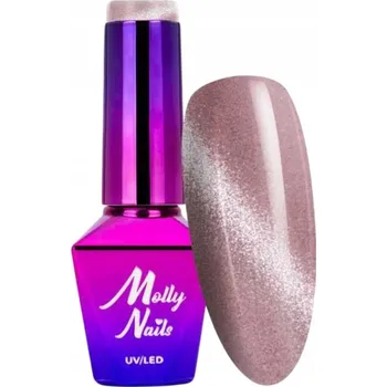 Lak na nehty Hybridní lak na nehty MOLLYNAILS 8g Crystal Water Cat Eye Č. 165